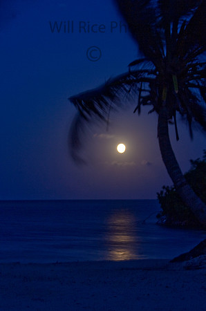 Full Moon