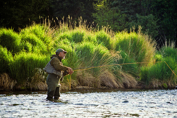 Grass Bank