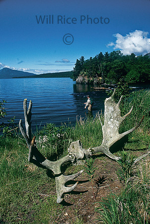 Brooks Lake